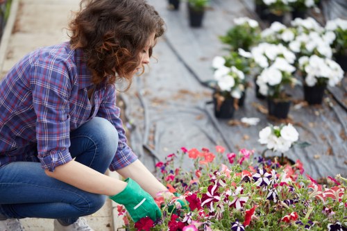 Teams starting a garden maintenance job with tools in a residential yard