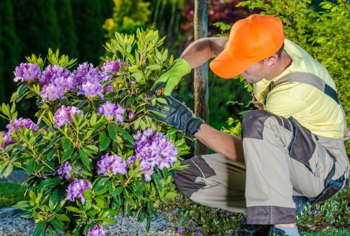 Inspection of supplier records and contracts for garden services
