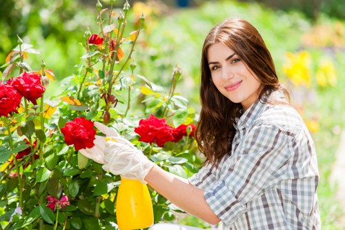 Documentation and records related to a garden maintenance complaint