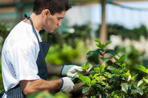 Eco-friendly gardening practices in Spitalfields