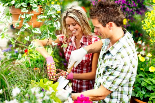Healthy, thriving plants maintained in Spitalfields