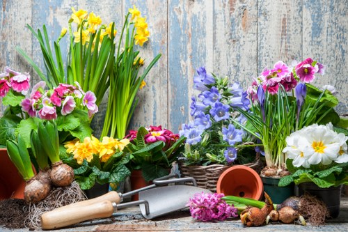 Gardener pruning plants in a Spitalfields garden